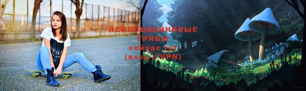 прущие крисы Бронницы