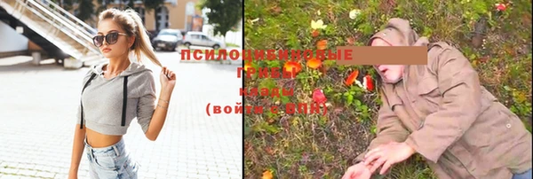 прущие крисы Бронницы
