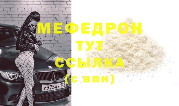индика Богородицк
