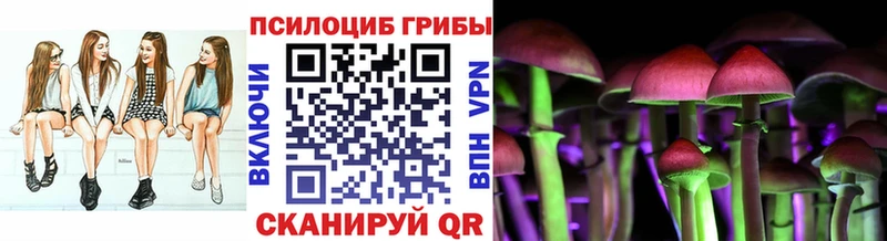 мориарти телеграм  Грязи  Псилоцибиновые грибы Cubensis  продажа наркотиков 