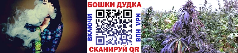 Каннабис планчик  наркошоп  Грязи 